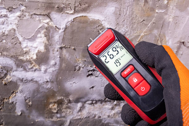 Best Post-Flood Mold Remediation in Clinton, LA